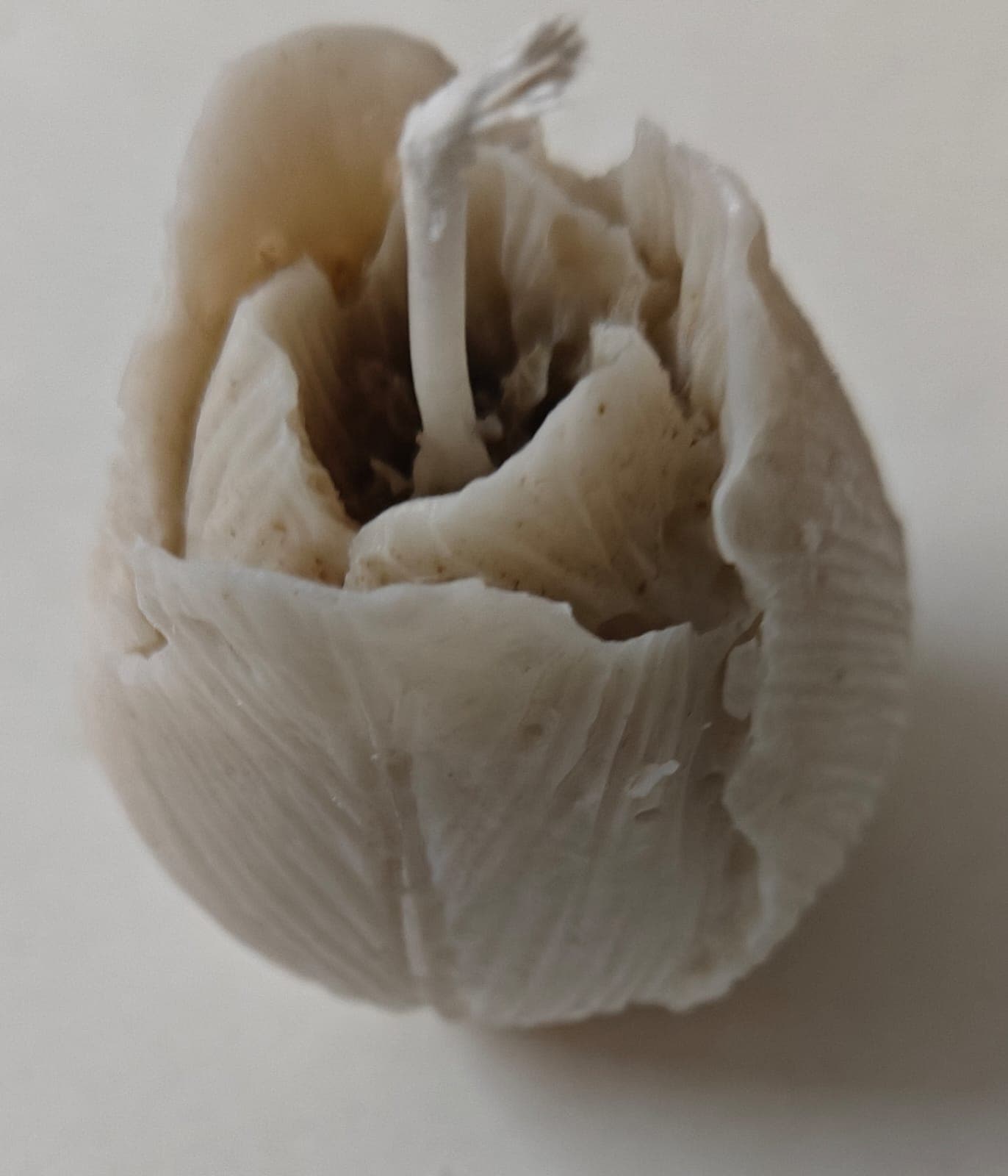 Candle Tulip Vetriver