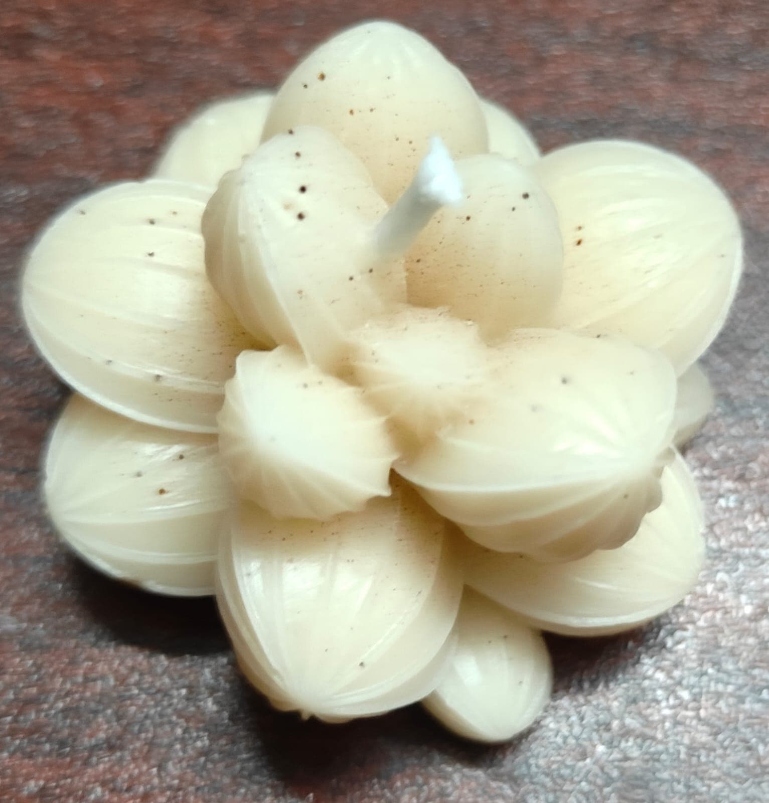 Candle Cactus Flower Coffee
