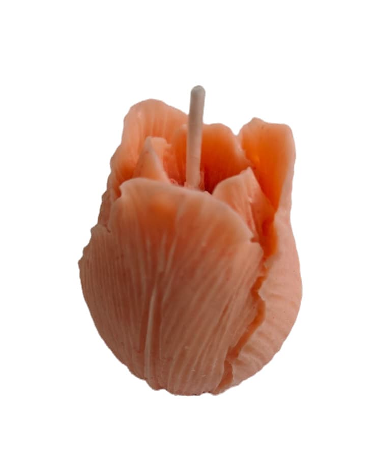 Candle - Tulip orange cardamom