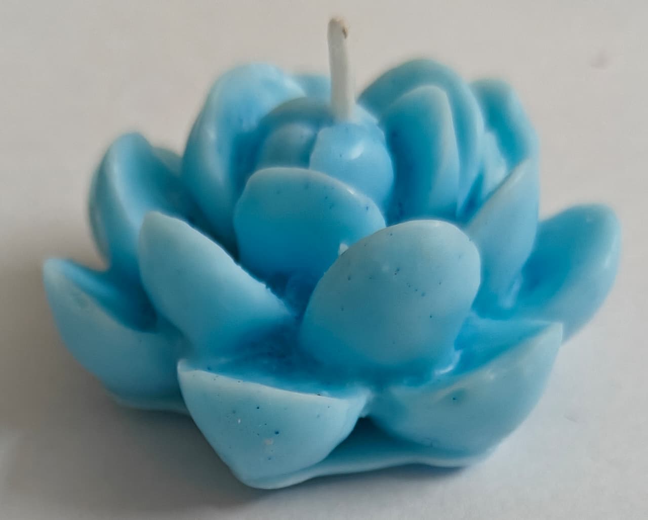 Candle - Blue bubblegum Cactus Flower