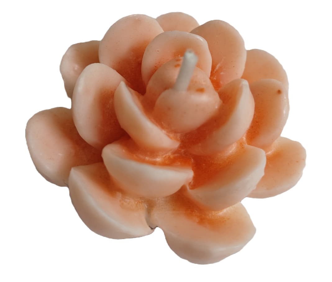 Candle - Orange strawberry Cactus Flower
