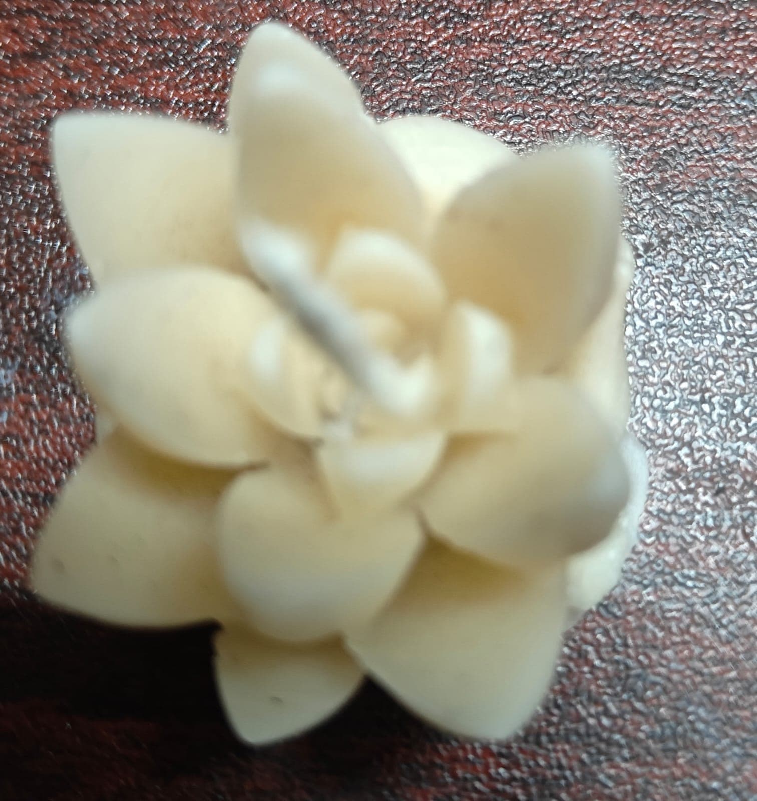 Candle Flower Coffee - Small